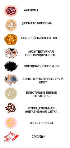 
			Онкодерматология: алгоритмы диагностики для врачей первичного звена		