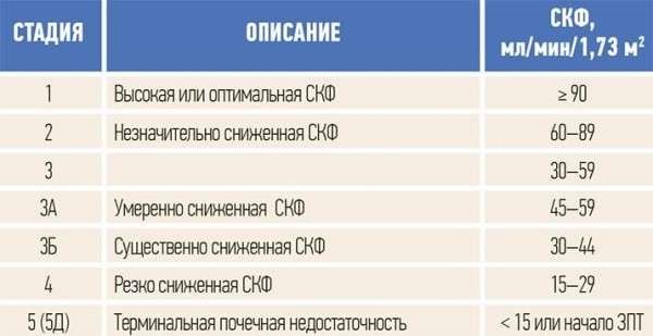 Нефропротекция на практике: что нового?			     
        Нефропротекция на практике: что нового?