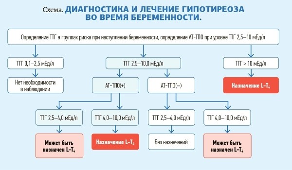 
        Синдром гипотиреоза и тиреотоксикоза у беременных			    