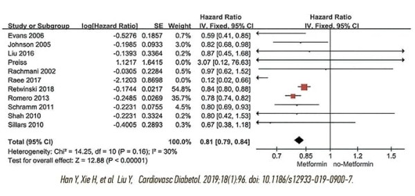 
        Метформин: лечение диабета или нечто большее?			    
