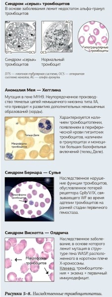 
        Тромбоцитоз и тромбоцитопения: диагностический поиск 			    