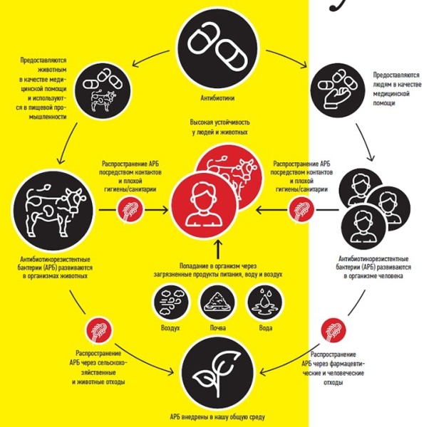 
        Устойчивость к антибиотикам... витает в воздухе			    