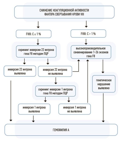
        Гемофилия А в педиатрической практике: современные подходы к диагностике			    