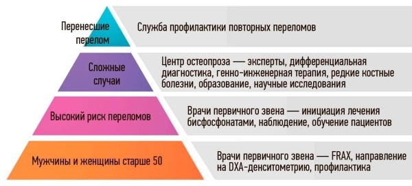 
        Остеопороз: болезнь «хрупкого» возраста			    