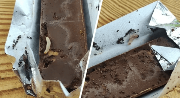 Белорус нашел живых червей в шоколаде «Коммунарка» Белорус нашел живых червей в шоколаде «Коммунарка»