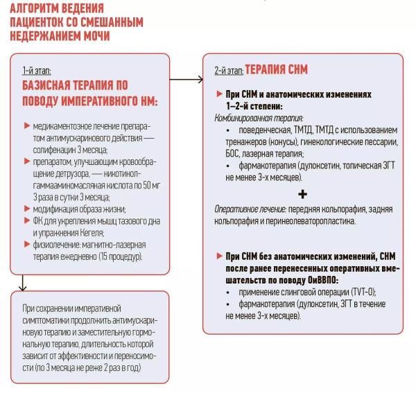 
        Дисфункция тазового дна. Поиски универсальных факторов риска продолжаются                    