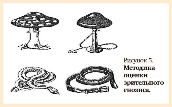 
        Распознать вовремя. Ранняя диагностика болезни Альцгеймера                    