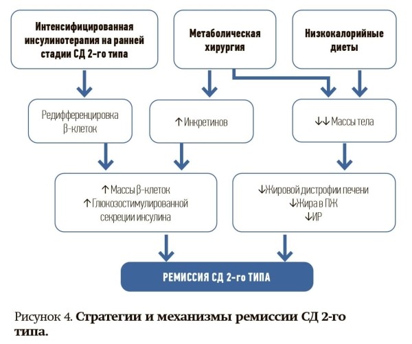 
        Ремиссия сахарного диабета 2-го типа: миф или реальность?                    
