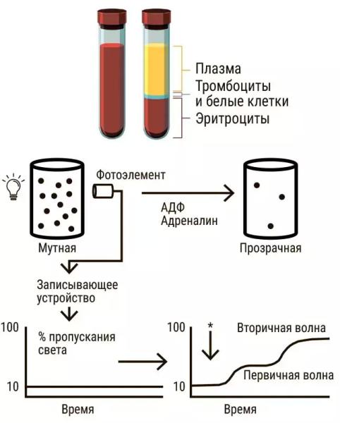 
        Разбираем гемостаз вместе. Основные тесты и их место в клинической практике:  где, когда и для чего применять?                    