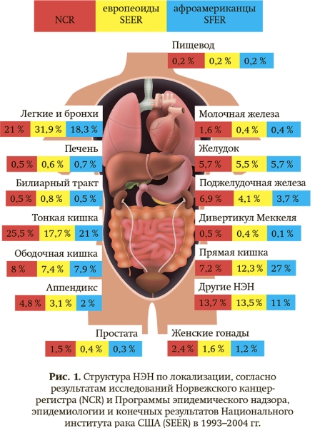 
			Современные подходы к диагностике и лечению нейроэндокринных новообразований		