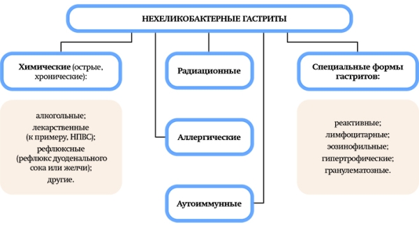 
			Природа хронической гастродуоденальной боли. Часть 2		