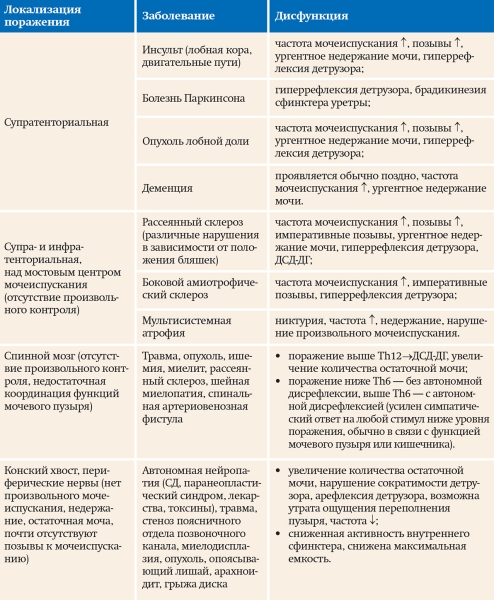 Нейрогенный мочевой пузырь
Нейрогенный мочевой пузырь