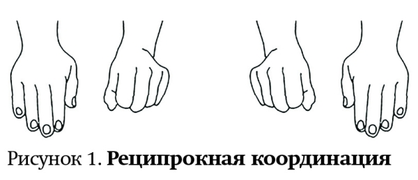 Оценка развития высшей нервной деятельности ребенка на амбулаторном этапе
Оценка развития высшей нервной деятельности ребенка на амбулаторном этапе