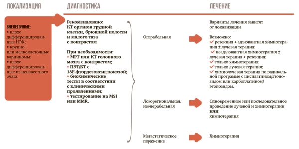 
			Современные подходы к диагностике и лечению нейроэндокринных новообразований		